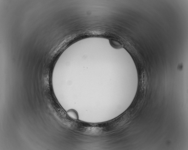 X0000115710212200912031535