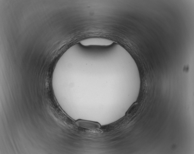 X0000115710215200912031535