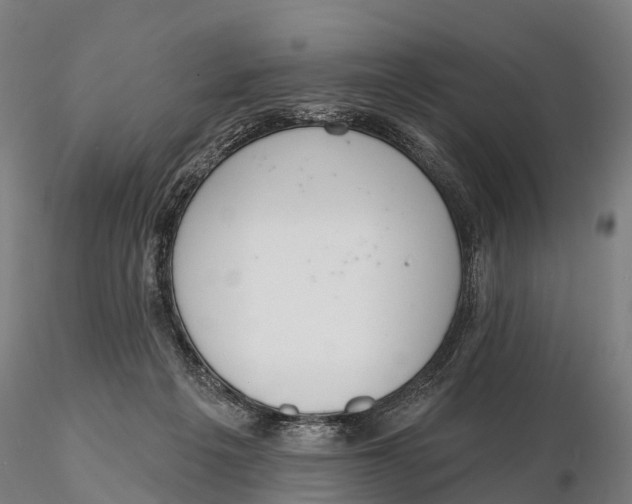 X0000115710217200912031535