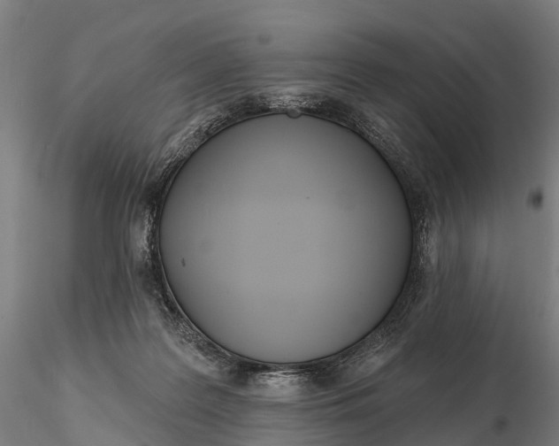 X0000115710219200912031535