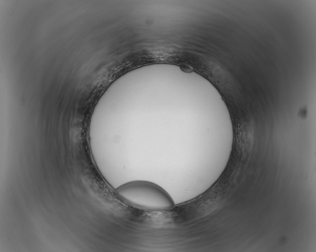 X0000115710221200912031535