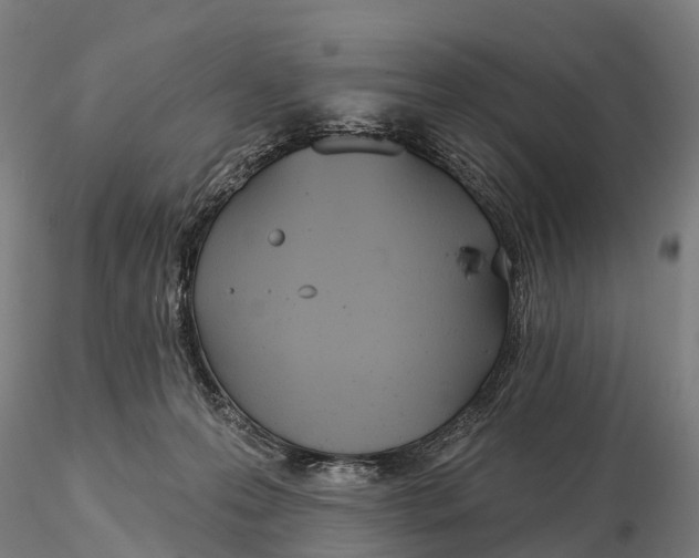 X0000115710223200912031535