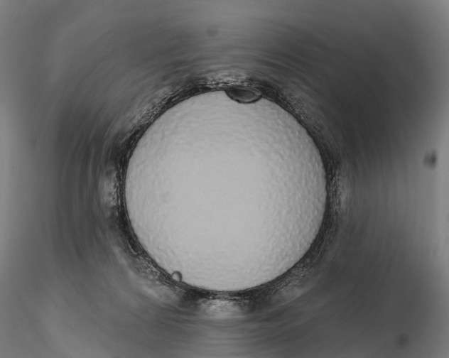 X0000115710224200912031535