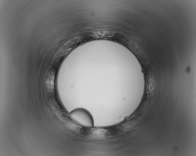 X0000115710226200912031535