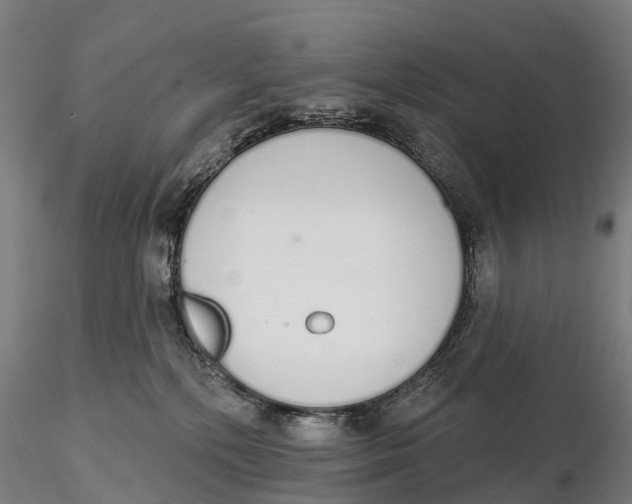 X0000115710232200912031535