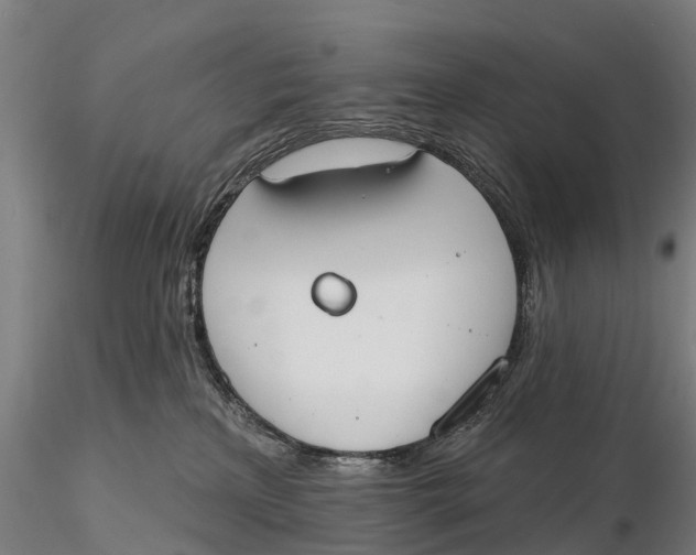 X0000115710233200912031535