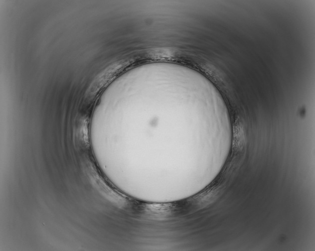 X0000115710238200912031535