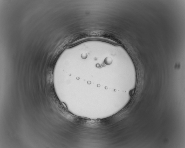 X0000115710240200912031535