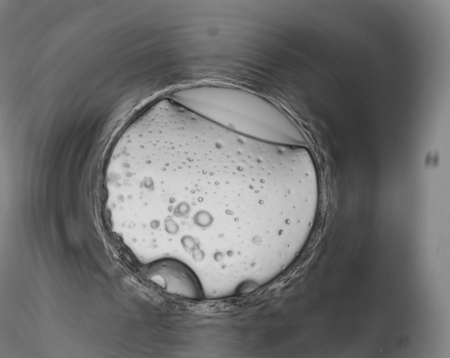 X0000115710241200912031534