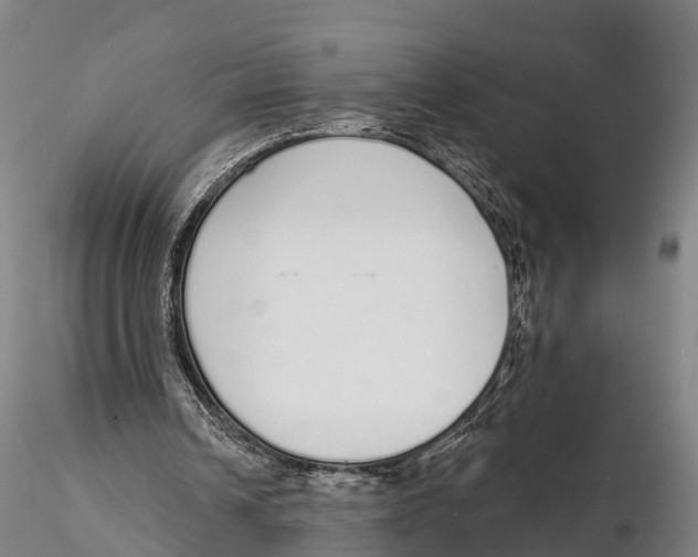 X0000115710242200912031534