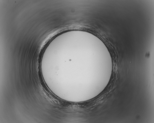 X0000115710244200912031534