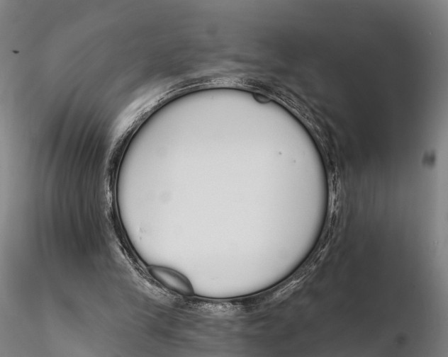 X0000115710245200912031534