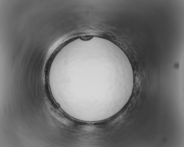 X0000115710246200912031534