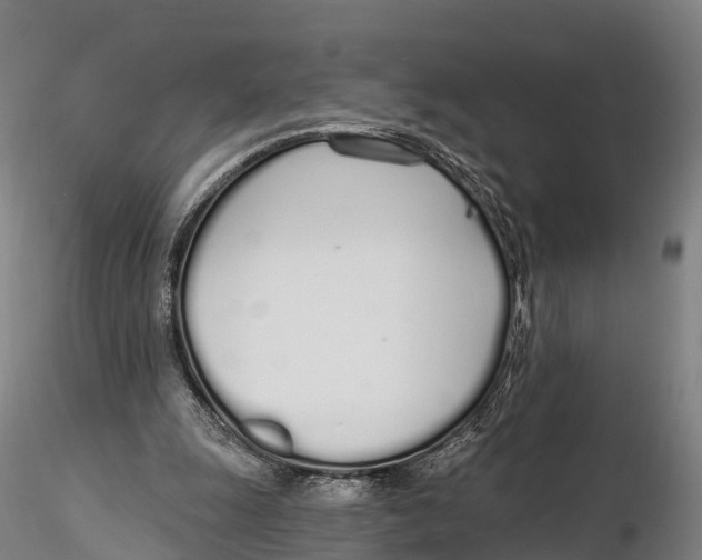 X0000115710247200912031534