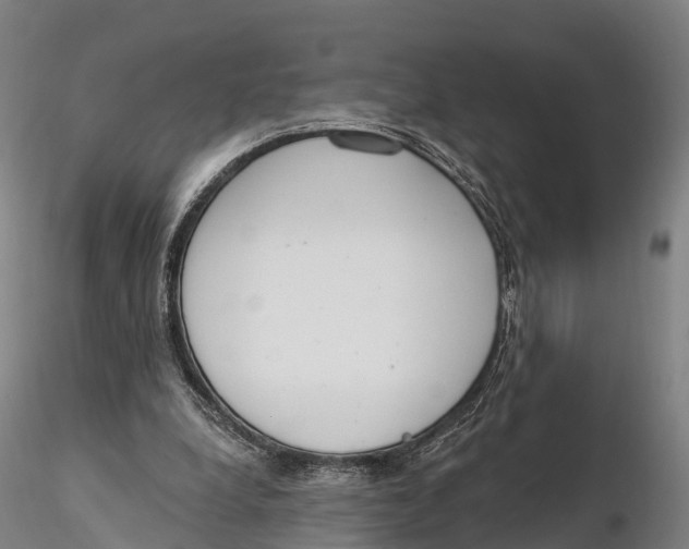 X0000115710248200912031534