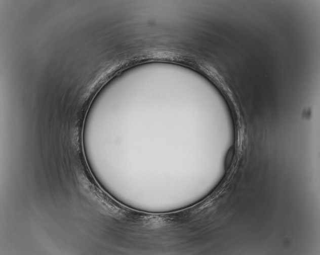 X0000115710249200912031534