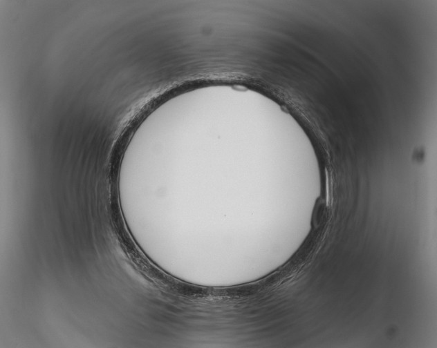 X0000115710252200912031534