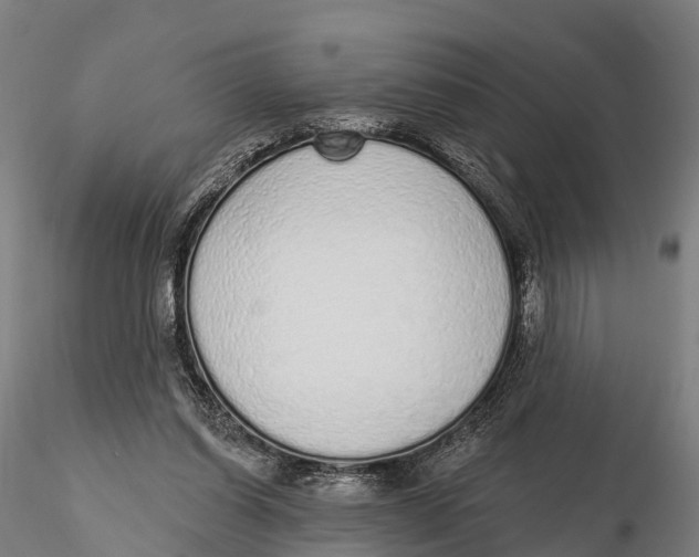 X0000115710254200912031534