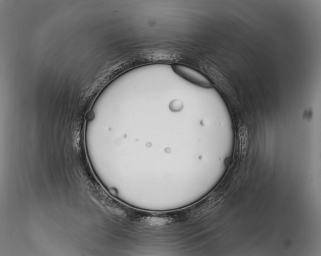 X0000115710255200912031534