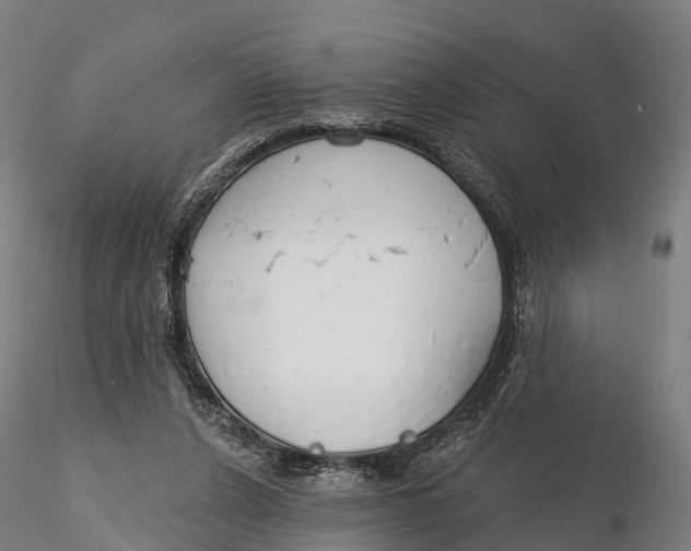 X0000115710256200912031534