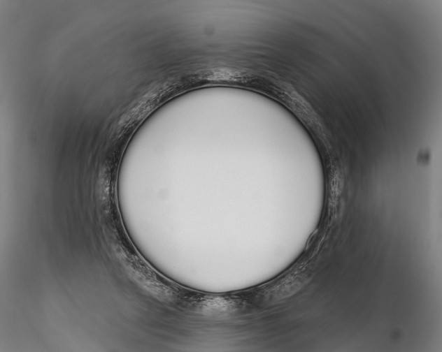 X0000115710257200912031534