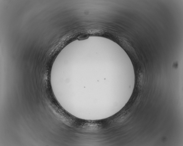 X0000115710260200912031534