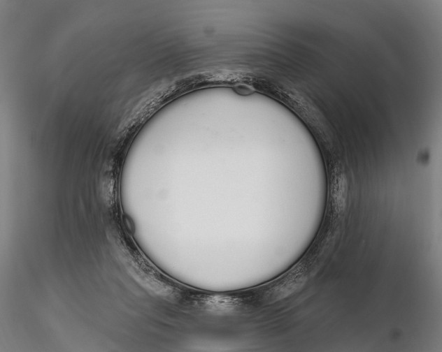 X0000115710261200912031534