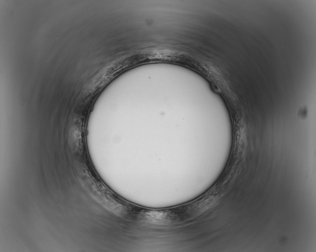 X0000115710265200912031534