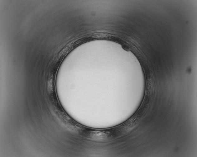 X0000115710267200912031534