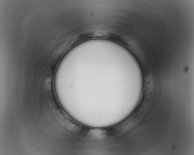 X0000115710269200912031534