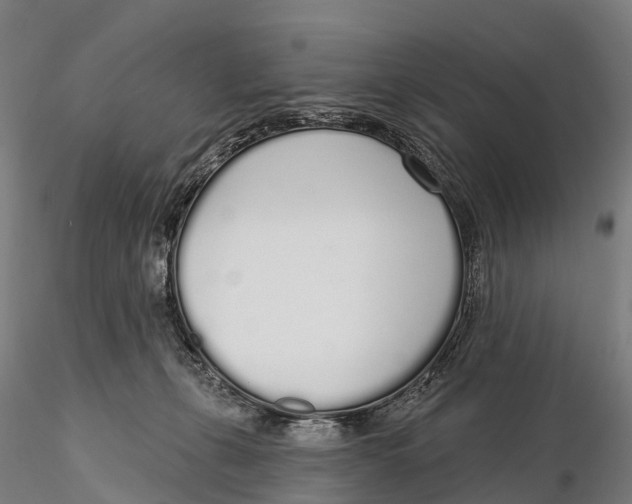 X0000115710271200912031534