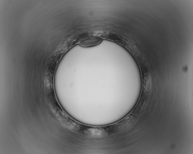 X0000115710272200912031534