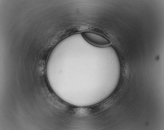 X0000115710273200912031534