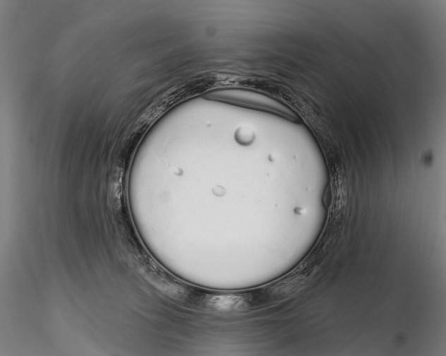 X0000115710275200912031534