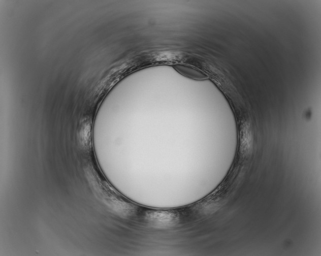 X0000115710276200912031535