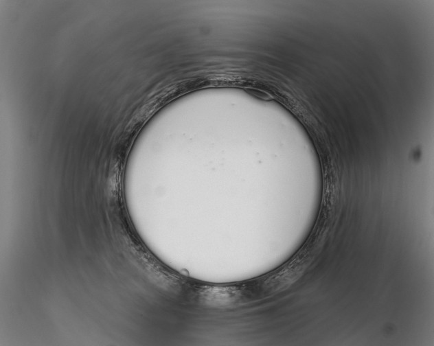 X0000115710277200912031535