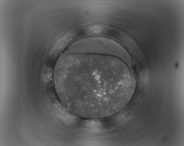 X0000115710284200912031535