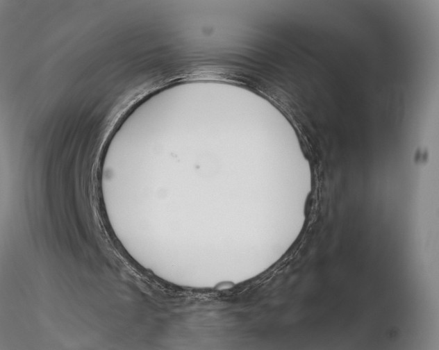 X0000115710289200912031534