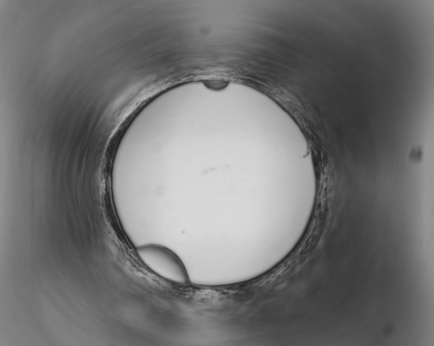 X0000115710290200912031534