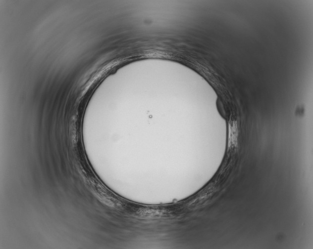 X0000115710291200912031534