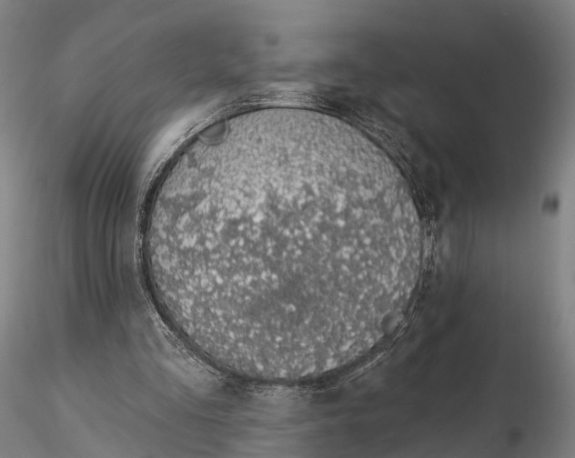 X0000115710293200912031534