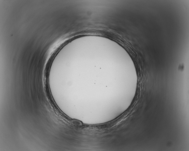 X0000115710294200912031534