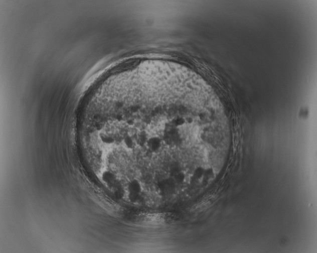 X0000115710295200912031534