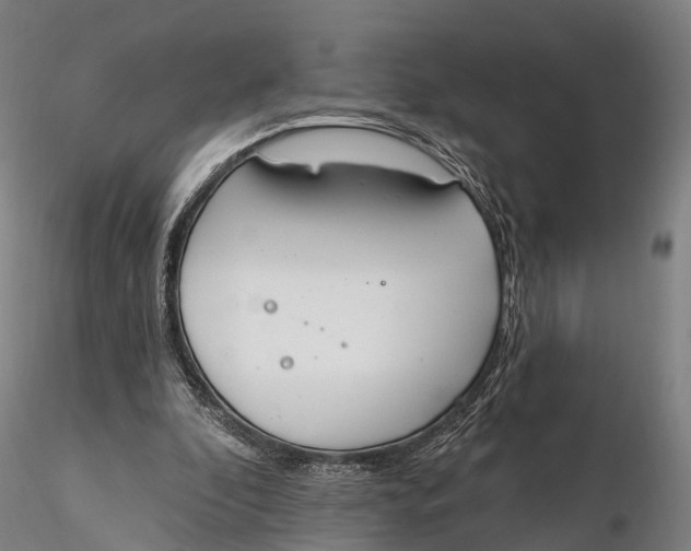 X0000115710296200912031534