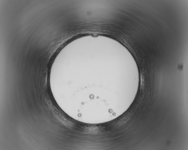 X0000115710301200912031534