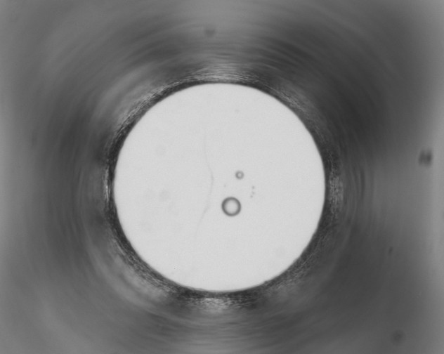 X0000115710302200912031534