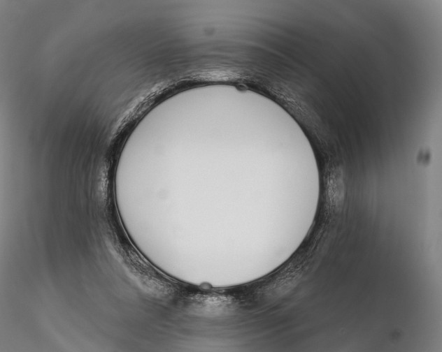 X0000115710304200912031534