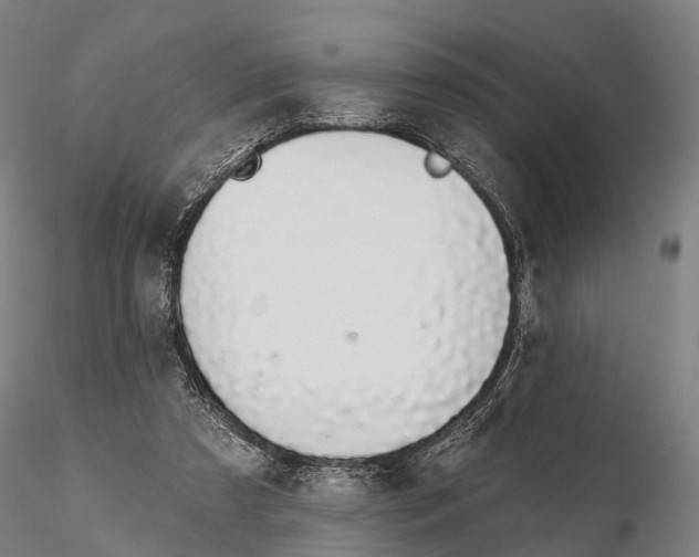 X0000115710305200912031534