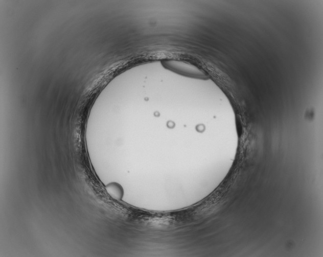 X0000115710306200912031534