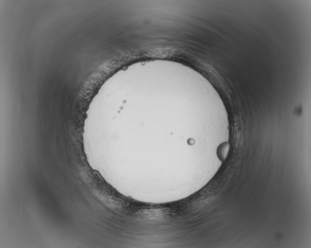 X0000115710307200912031534